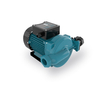 Adaptive Intelligent Diverse Protection Dual Control Booster Water Pump for Garden Irrigation