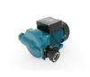 Adaptive Intelligent Diverse Protection Dual Control Booster Water Pump for Garden Irrigation